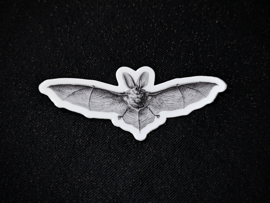 Matte Vinyl Sticker - Haus of Brimstone - Long-eared Bat