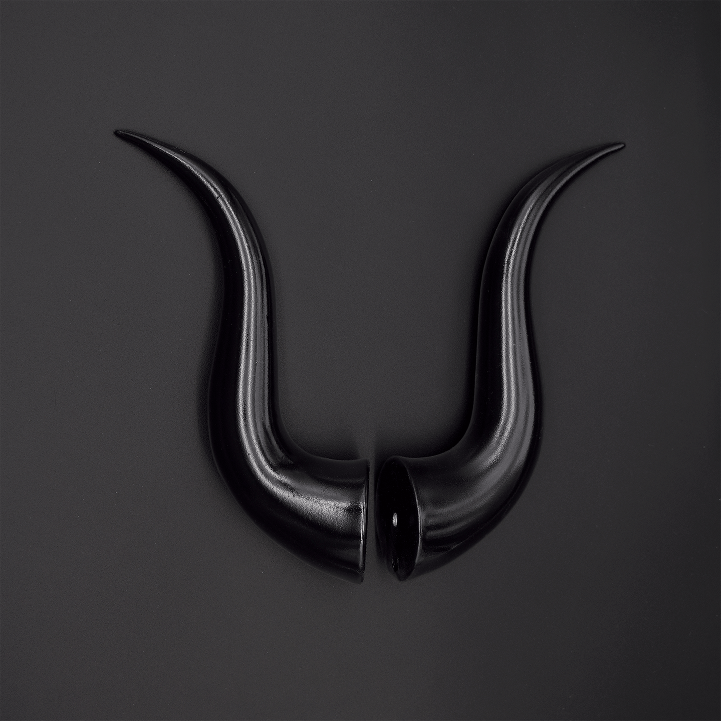 Black Succubus Horns - Gloss - Haus of Brimstone -