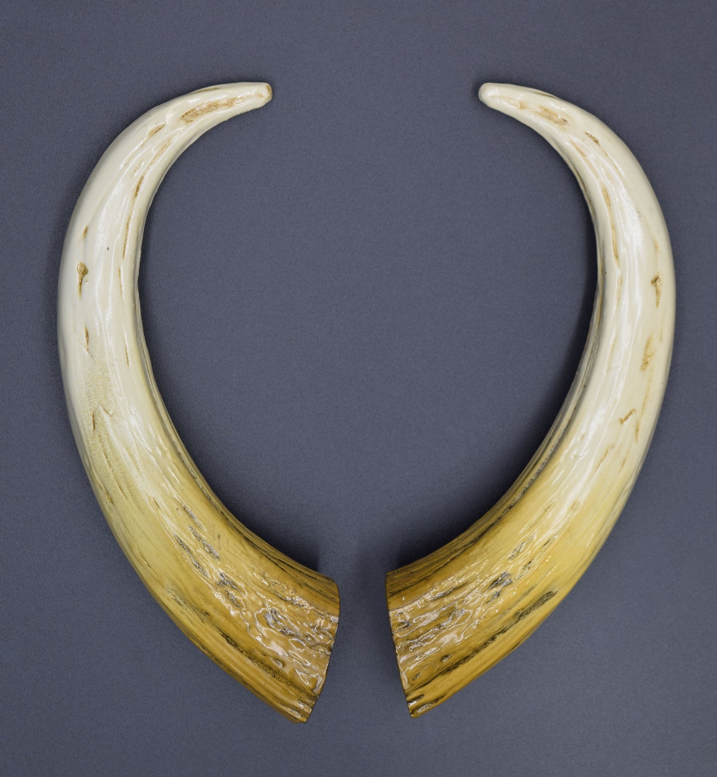 Bone Ombré Azazel Horns - Gloss - Haus of Brimstone -