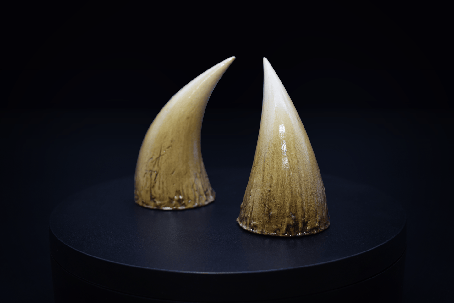 Bone Fiend Horns - Gloss - Haus of Brimstone -