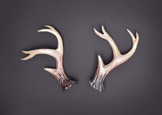 Elphame Ombré Sylvan Antlers - Iridescent - Haus of Brimstone -
