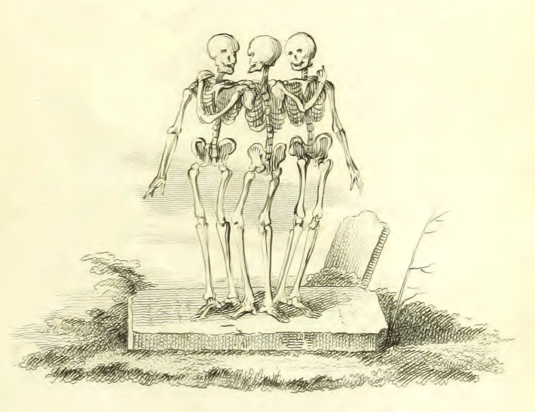 Illustration of three skeletons standing together with a gravestone in the background.