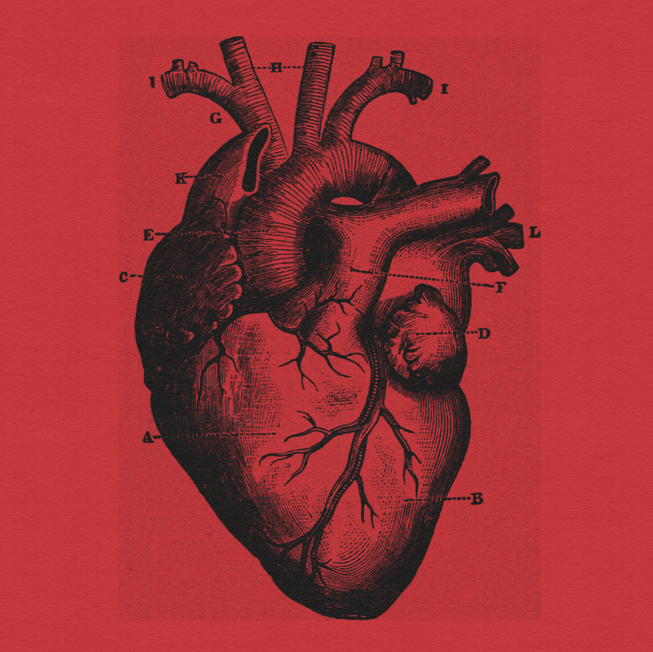 THRALL | Add a 3rd VIP seat to your table - Ticket to Bloodthirsty - Haus of Brimstone -