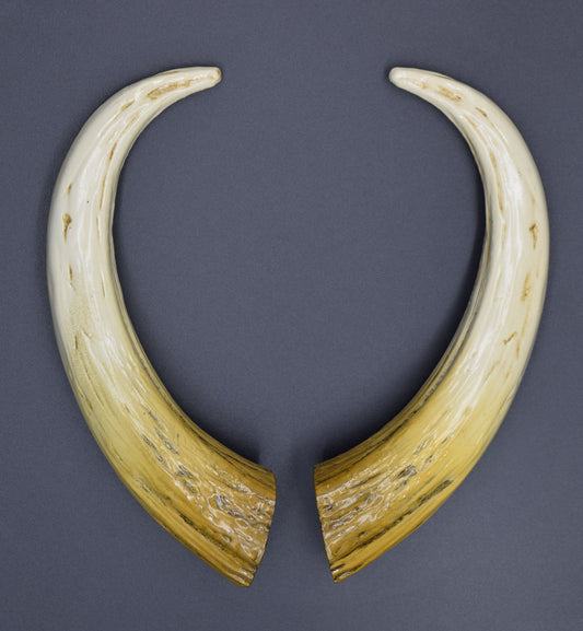 Bone Ombré Azazel Horns - Gloss - Haus of Brimstone - 