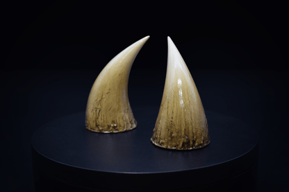 Bone Fiend Horns - Gloss - Haus of Brimstone - 