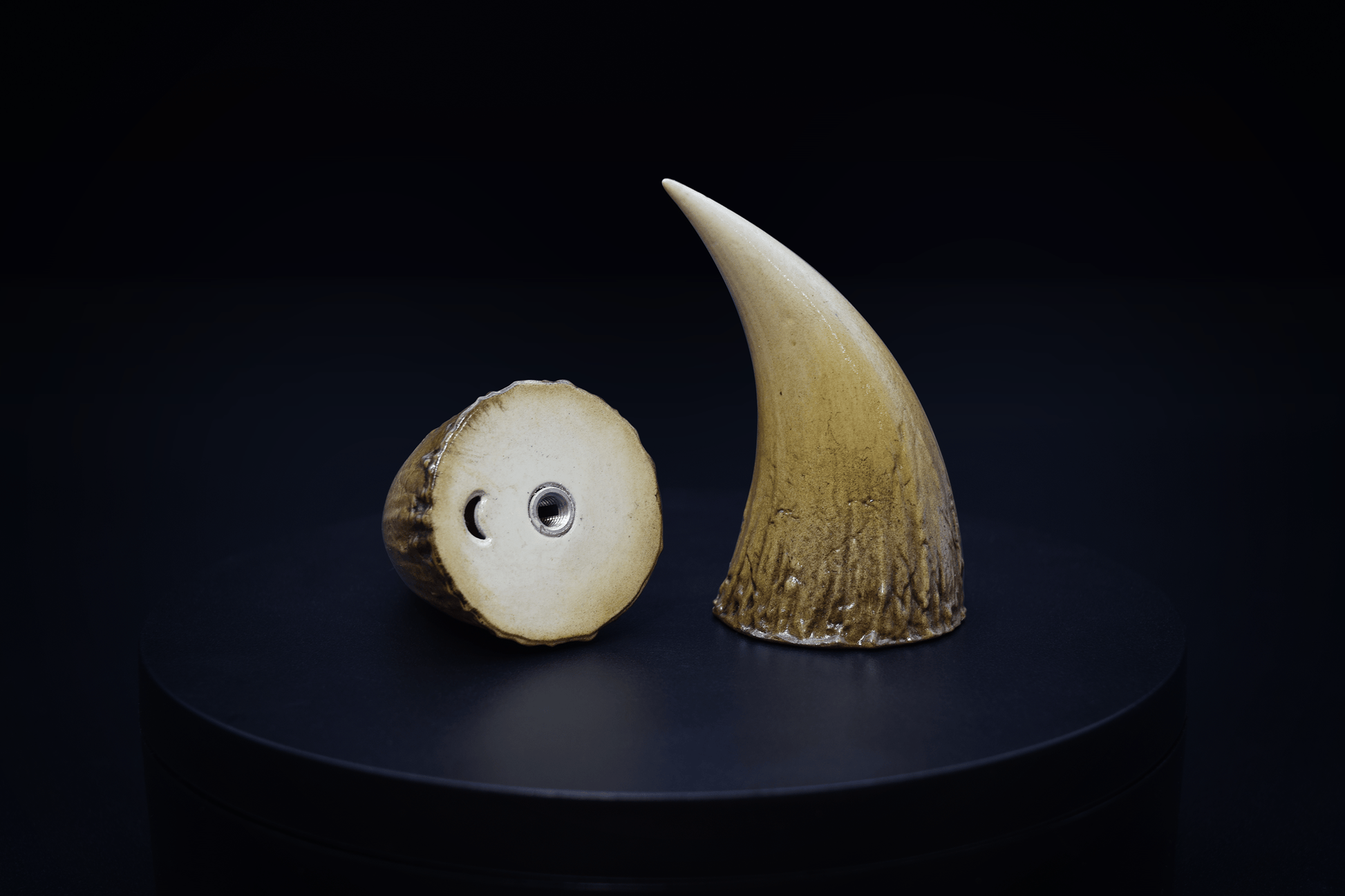 Bone Fiend Horns - Gloss - Haus of Brimstone - 