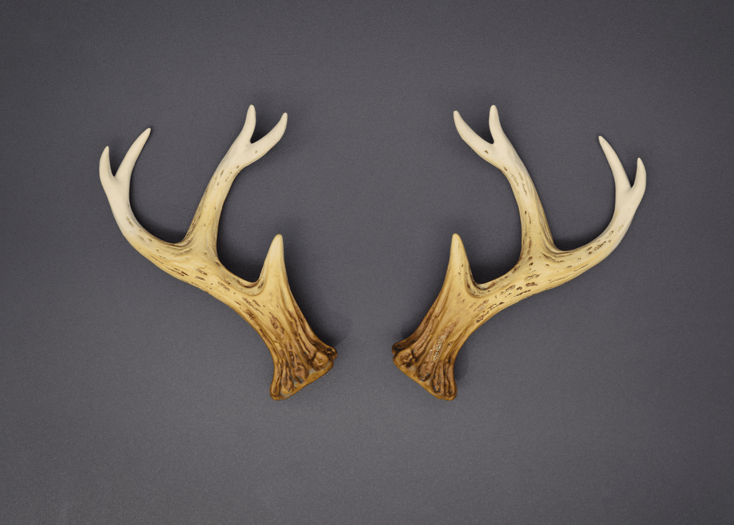 Bone Ombré Sylvan Antlers - Matte - Haus of Brimstone - 