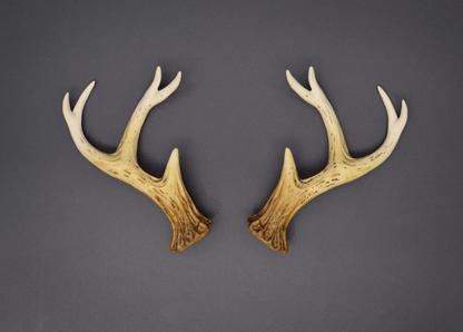 Bone Ombré Sylvan Antlers - Matte - Haus of Brimstone - 