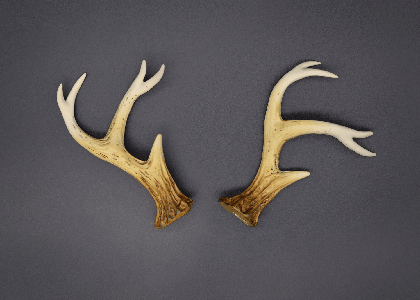 Bone Ombré Sylvan Antlers - Matte - Haus of Brimstone - 