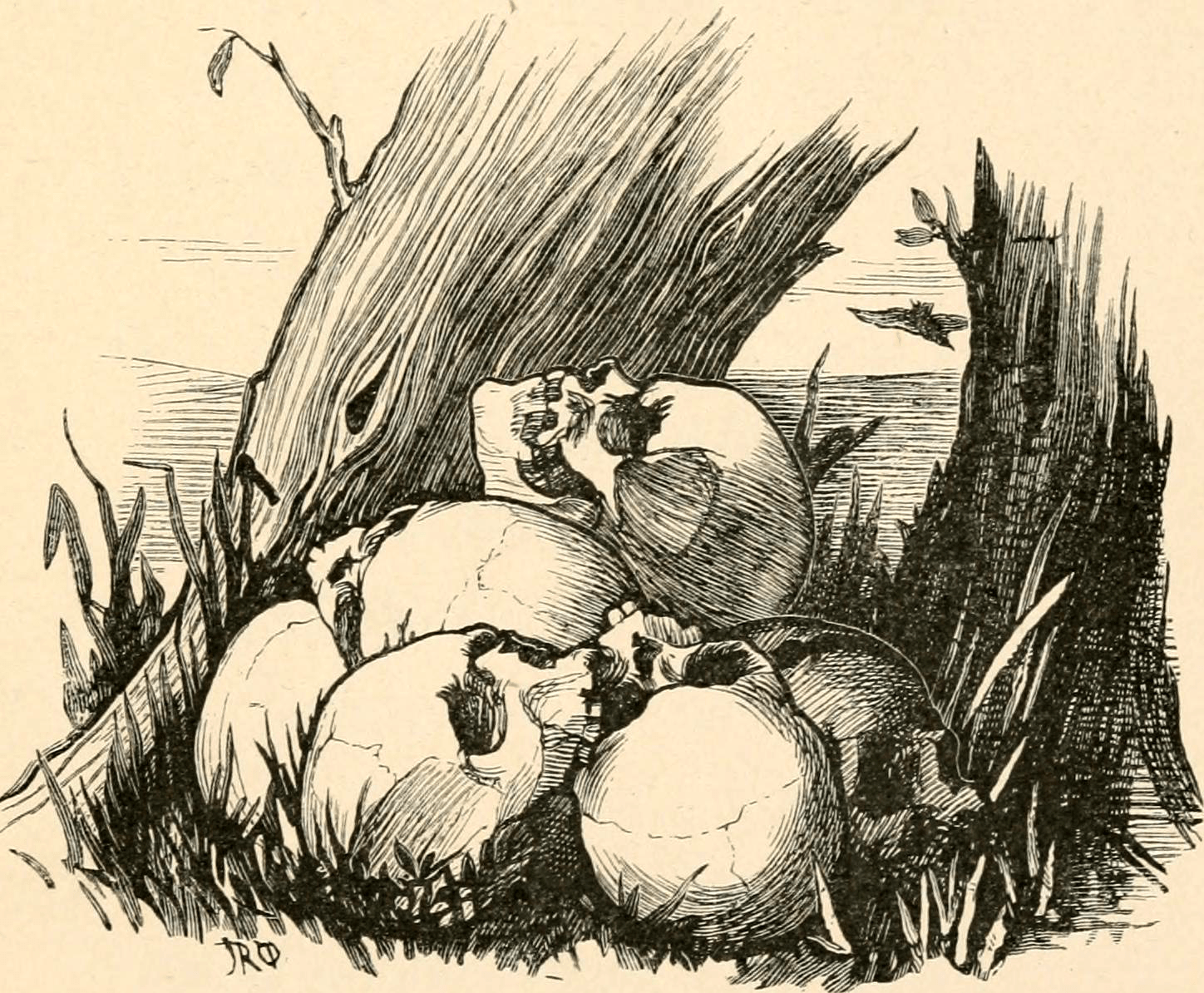 Vintage illustration of a pile of skulls in the grass by a tree.
