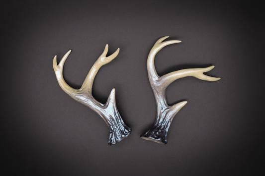 Charon Ombré Sylvan Antlers - Iridescent - Haus of Brimstone -