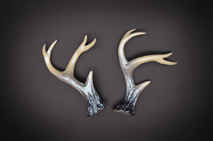 Charon Ombré Sylvan Antlers - Iridescent - Haus of Brimstone - 