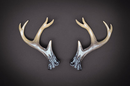 Charon Ombré Sylvan Antlers - Iridescent - Haus of Brimstone - 