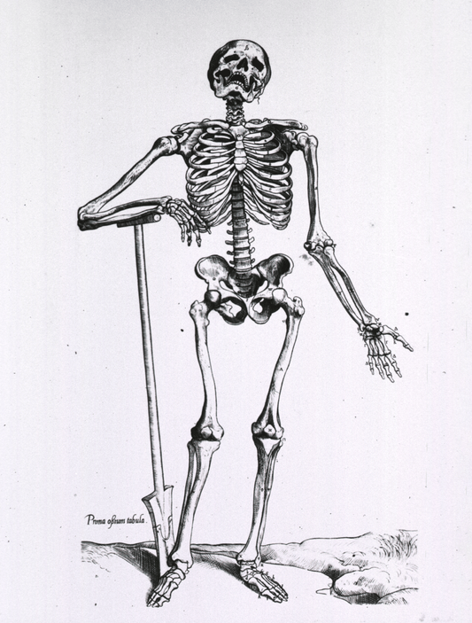 Vintage illustration of skeleton with a shovel.