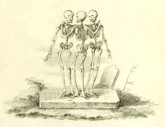 Illustration of three skeletons standing together with a gravestone in the background.
